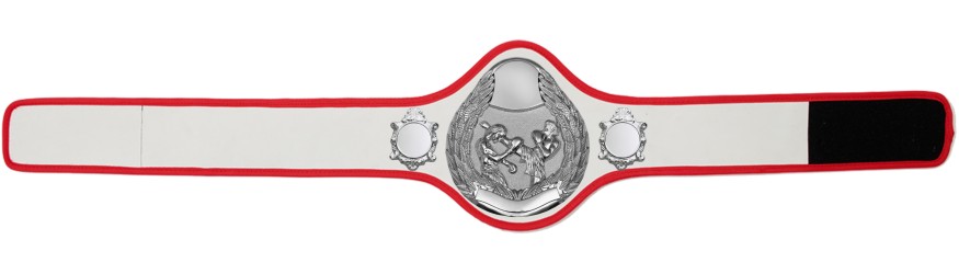 THAI BOXING CHAMPIONSHIP BELT-PRO301/S/TBOS- 10 + COLOURS THAI BOXING CHAMPIONSHIP BELT-PRO301/S/TBOS- 10 + COLOURS